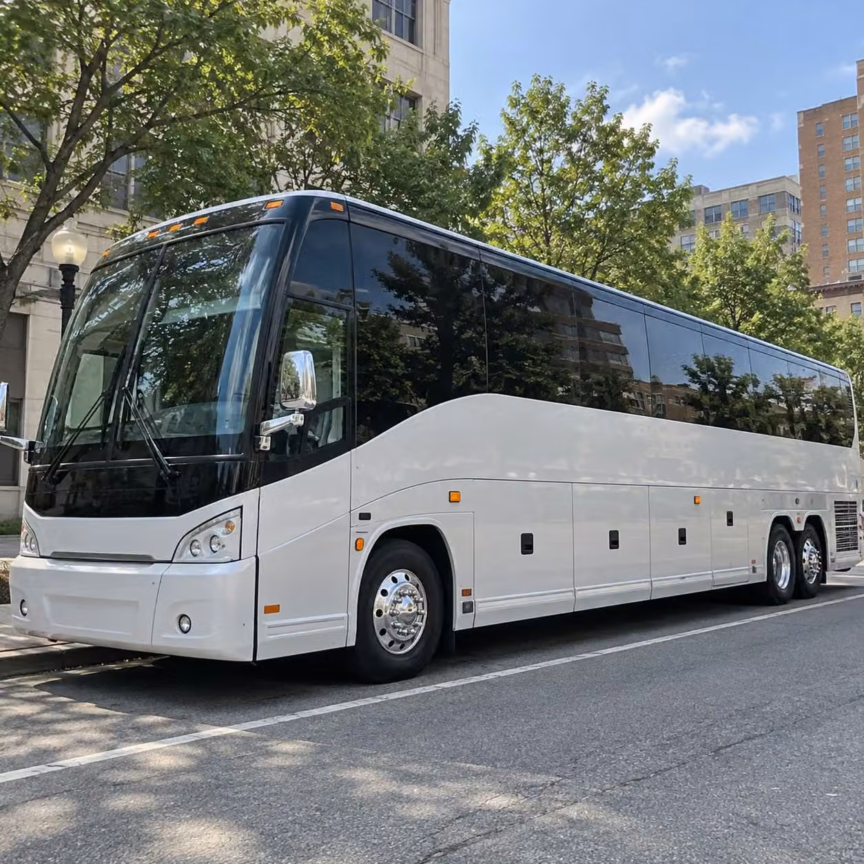 if your group is headed to the smithsonian national zoo or beyond rockvillecharterbuscompany com has your bus